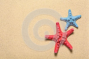 Two starfishes at the beach sand