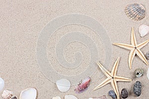 Two starfishes, different seashells and stones on the sand. T