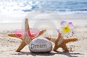 Two Starfishes with rock on the beach