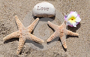 Two Starfishes with rock on the beach