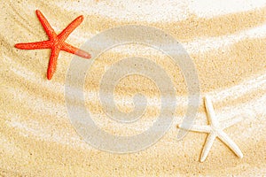 Two starfishes on a sandy background