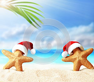 Two starfishes in Santa Claus hat on a summer beach. Merry Christmas