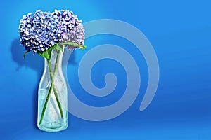 Two stems of hydrangeas in a old glass wine karaffe decanter photo