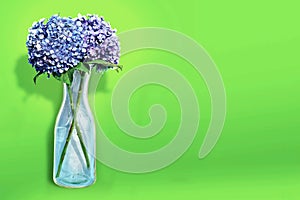 Two stems of hydrangeas in a old wine karaffe decanter photo