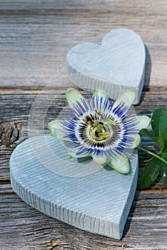 Two stone heart with passion flower on wooden background