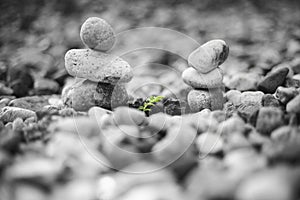 Two stone pyramids and growing leaf.