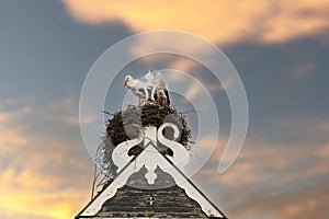 Two storks build a nest on the chimney of a house. Above an owl sign with white swans. A triangle and decoration on it