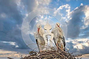 Two storks build a nest on the chimney of a house. Above an owl sign with white swans. A triangle and decoration on it