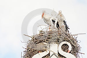 Two storks build a nest on the chimney of a house. Above an owl sign with white swans. A triangle and decoration on it