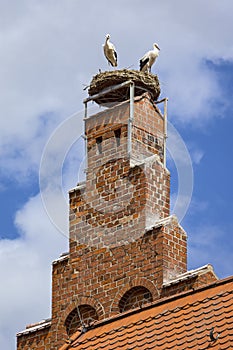 Two storks stand on the top of a red brick tower in the middle of the town of Tangermunde