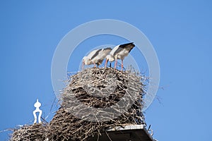 Two storks are in their nest on a chimney, in the spring , blue sky in background part of chimney