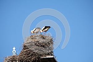 Two storks are in their nest on a chimney, in the spring , blue sky in background part of roof