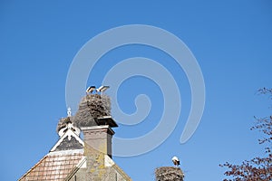Two storks are in their nest on a chimney, in the spring , blue sky in background part of roof
