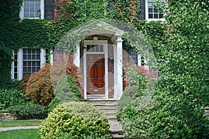 two story brick house, covered in vines and bushes