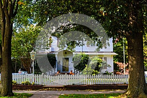 Two story white wood house with picket fence pumpkins and an American flag flanked by two large trees