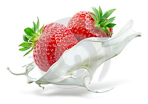 Two strawberries falling into milk. Splash isolated on white