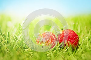 Two strawberries on the grass
