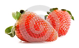 Two strawberries isolated