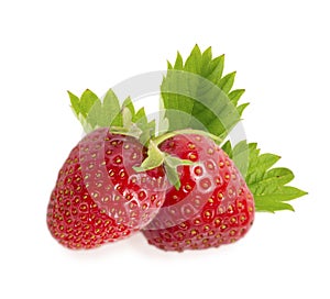 Two strawberries with leaves isolated on white background.