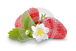 Two strawberries on a white background, flowering strawberries, strawberry isolate