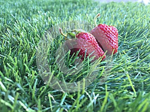 Two strawberrys on the green grass