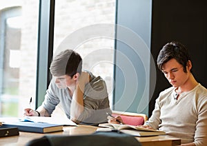 Two students working on an assignment photo