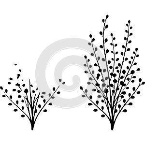 Two stylized black and white illustrations of small leafy branches