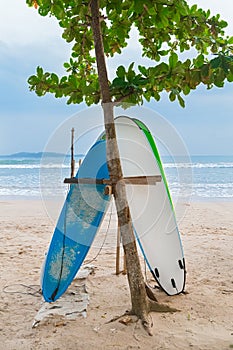 Two surf boards on sandy Weligama beach in Sri Lanka