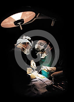 Two surgeons operating