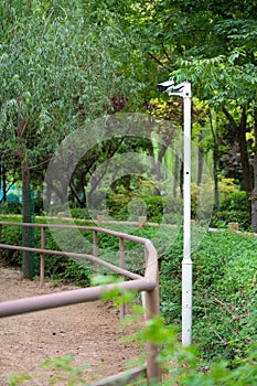 Two Surveillance cameras, CCTV security cameras align in different directions on side of the trees