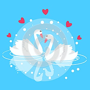 Two swan swimming fall in love couple marriage symbol decorative