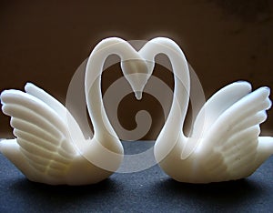 Two swans