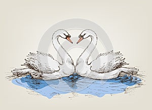 Two swans on lake