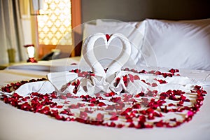 Two swans made from towels are kissing on honeymoon white bed.