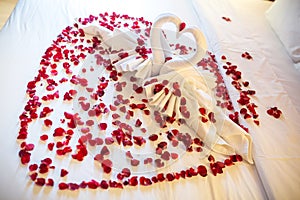 Two swans made from towels are kissing on honeymoon white bed.