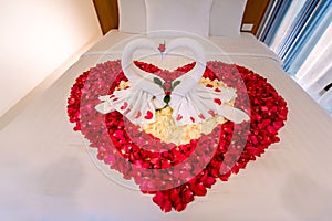 Two swans made from towels are kissing on honeymoon white bed. creamy pillow and heart form, valentine signature made from red ros