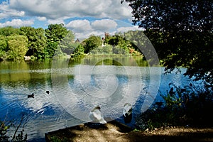 Two Swans and Smiths Pool sunny landscape