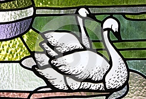 Two swans in stained glas