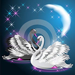 Two swans swim at night under the moon and glowing stars