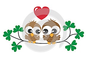 Two sweet brown owls in love