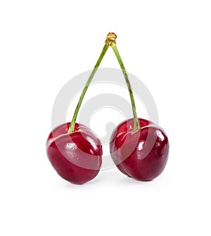 Two sweet cherries on branch