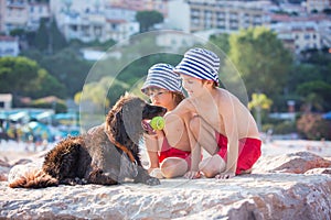 Two sweet children, boys, playing with dog on the beach