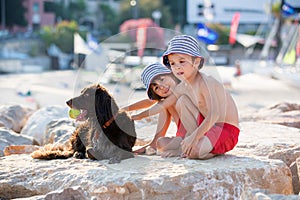 Two sweet children, boys, playing with dog on the beach