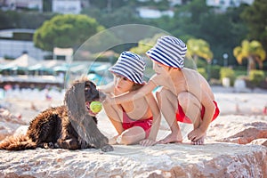 Two sweet children, boys, playing with dog on the beach