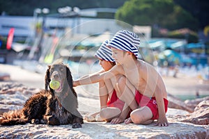 Two sweet children, boys, playing with dog on the beach