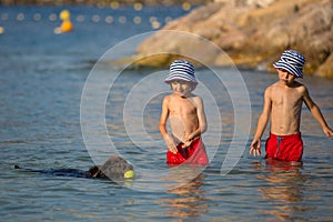 Two sweet children, boys, playing with dog on the beach