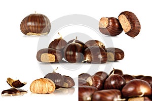 Two Sweet edible chestnuts isolated on white background