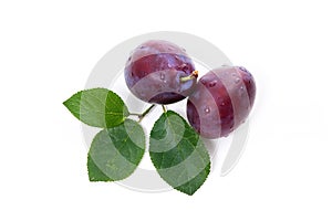 Group of ripe plums with leaf isolated on a white background.