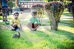 Two sweet little boy and Pennon rabbit bunnies are sitting on green grass. Friendship between humans and animals. Children and