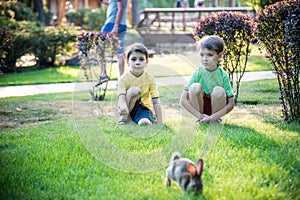 Two sweet little boy and Pennon rabbit bunnies are sitting on green grass. Friendship between humans and animals. Children and